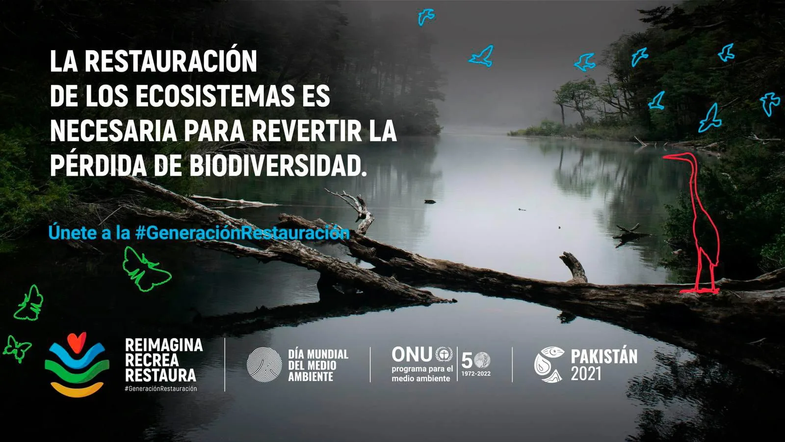 Paisaje natural que ilustra el cuidado del medio ambiente